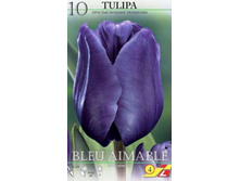 35020, 10 Tulipa Blue Aimable-2��, 246���.jpg