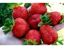 �������� ���� 55��� (�������� 6��).jpg