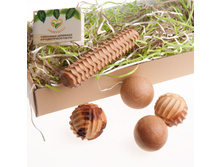 ������� ���������� �����.