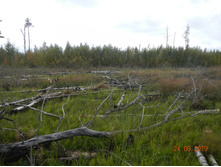 DSCN2418.JPG