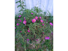 IMG 20190915 182005.jpg