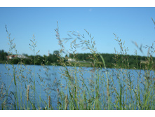IMG 4059.JPG
