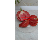 �������� �� �������