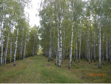DSCN2439.JPG