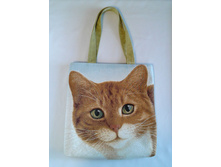 ����� ������� "�����-���������" ������� �� �������� �� �����