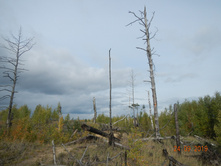 DSCN2422.JPG