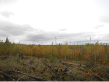 DSCN2429.JPG