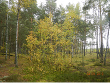 DSCN2432.JPG