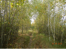 DSCN2381.JPG