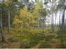 DSCN2431.JPG