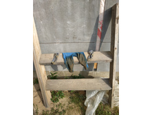 IMG 20190907 144211.jpg