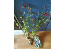 IMG 20190918 151109.jpg