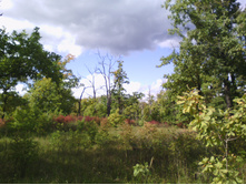 IMG 20190915 123743.jpg