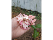 IMG 20190908 104458.jpg