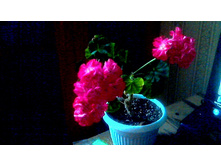 ���������� ��-�������