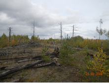 DSCN2425.JPG