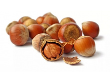 ������ �����������