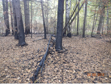 DSCN2371.JPG