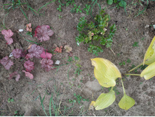 IMG 20190908 104240.jpg