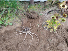 IMG 20190908 123559.jpg