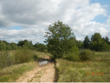 DSCN1541.JPG