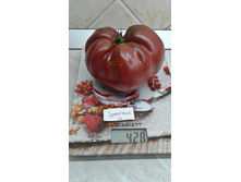 �� ������ ���������