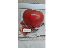 ������ �� �������