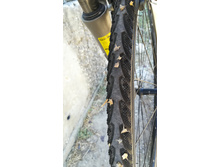 IMG 20190901 103640.jpg