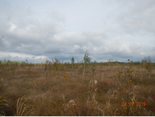DSCN2399.JPG