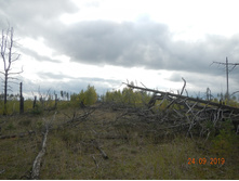DSCN2421.JPG