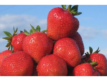 �������� ��������� ���-����� 62��� (�������� 1 ��).jpeg