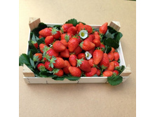 �������� ���������� ���-����� 83��� (�������� 4��).jpg