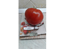 Hamevs German Oxheart