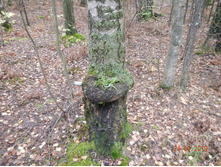 DSCN2436.JPG