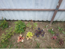 IMG 20190908 104537.jpg