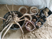 IMG 20190907 143748.jpg