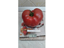 ����� ����