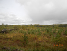 DSCN2434.JPG
