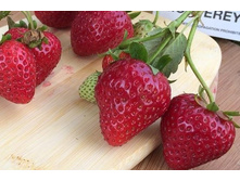 �������� �������� 86��� (�������� 2��).jpg