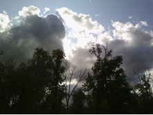 IMG 20190915 123523.jpg