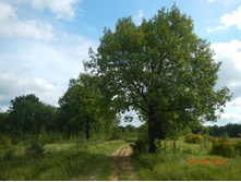 DSCN1534.JPG