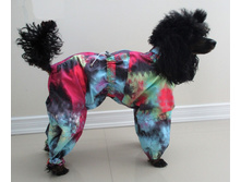 70919982 2939638222719003 286483935074975744 n.jpg