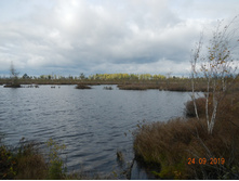 DSCN2398.JPG