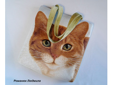 ����� ������� "�����-���������" ������� �� �������� �� �����