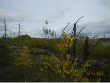 DSCN2426.JPG