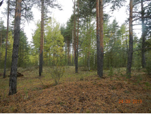 DSCN2376.JPG