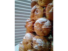 ���� ���������