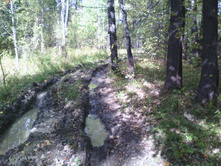 IMG 20190915 125714.jpg