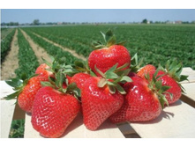 �������� ����� ���-����� 62��� (�������� 9��).jpg