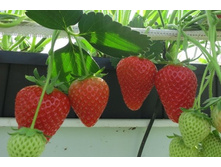 �������� �������� ���-����� 96��� (�������� 6��).jpg